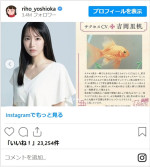 アニメ『九龍ジェネリックロマンス』に金魚役で出演した吉岡里帆　※「吉岡里帆」インスタグラム