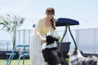 ドラマ『初恋DOGs』場面写真
