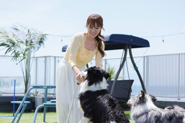 ドラマ『初恋DOGs』場面写真