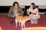 ドラマ10『シバのおきて～われら犬バカ編集部～』完成試写会の様子