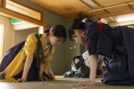 ドラマ『ちはやふる－めぐり－』最終回より