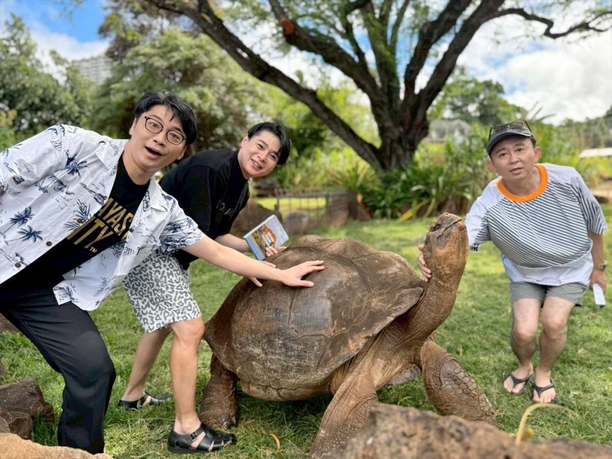 有吉弘行がカバに大興奮＆爆買い！　野呂佳代VSさや香・新山の大食い対決も　今夜放送『有吉の夏休み2025』