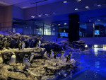 すみだ水族館×デンティス〈恋する水族館〉コラボ実施