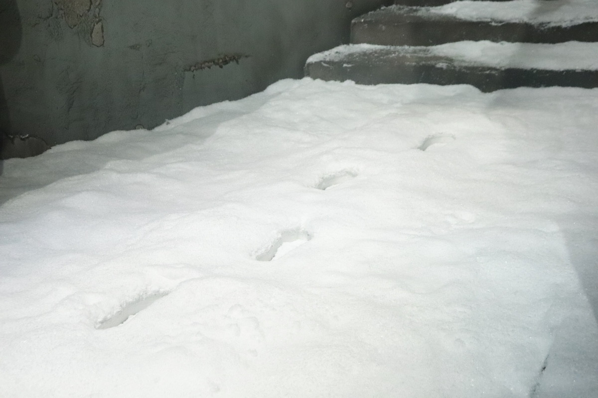 20251107_「ホグワーツ・イン・ザ・スノー」