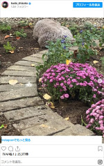工藤静香、自宅の庭　※「工藤静香」インスタグラム