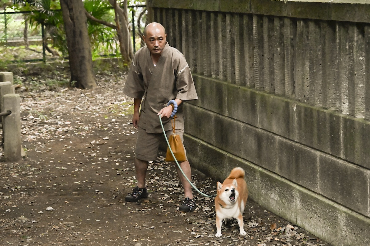 『ちょっとだけエスパー』第3話 “四季”宮崎あおいとの距離が縮まる“文太”大泉洋のもとに物騒なミッションが届く