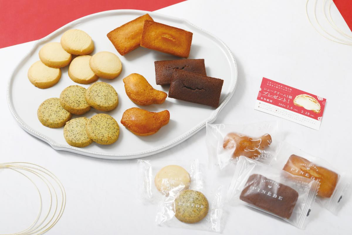 251118「ねこねこ福袋」