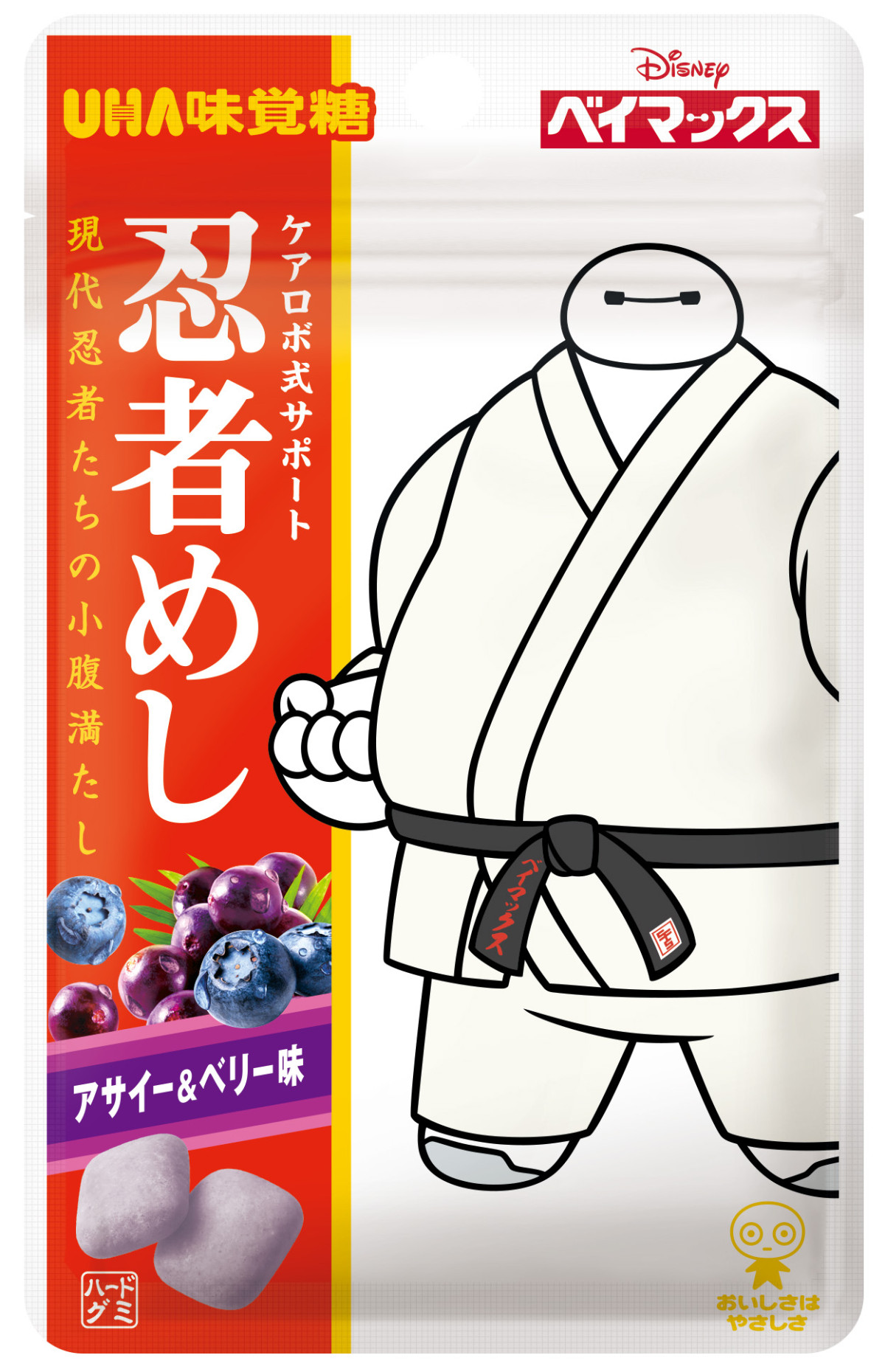 20251211_ベイマックス