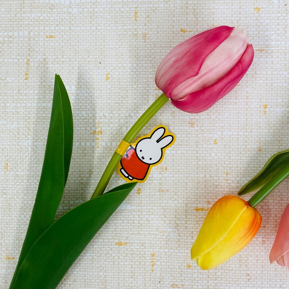 20250115「Flower Miffy POP UP SHOP」