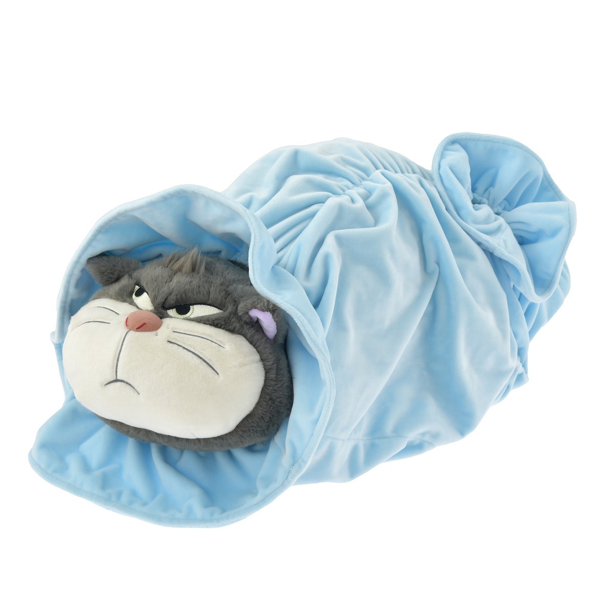 250203_DISNEY CAT DAY 2025