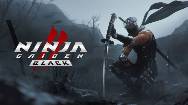 『NINJA GAIDEN 2 Black(ニンジャガイデン ツー ブラック)』キービジュアル
