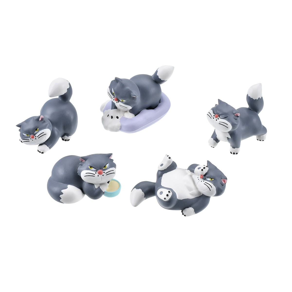 250203_DISNEY CAT DAY 2025