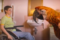 映画『終わりの鳥』場面写真