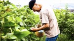映画『わたのまち、応答セヨ』場面写真