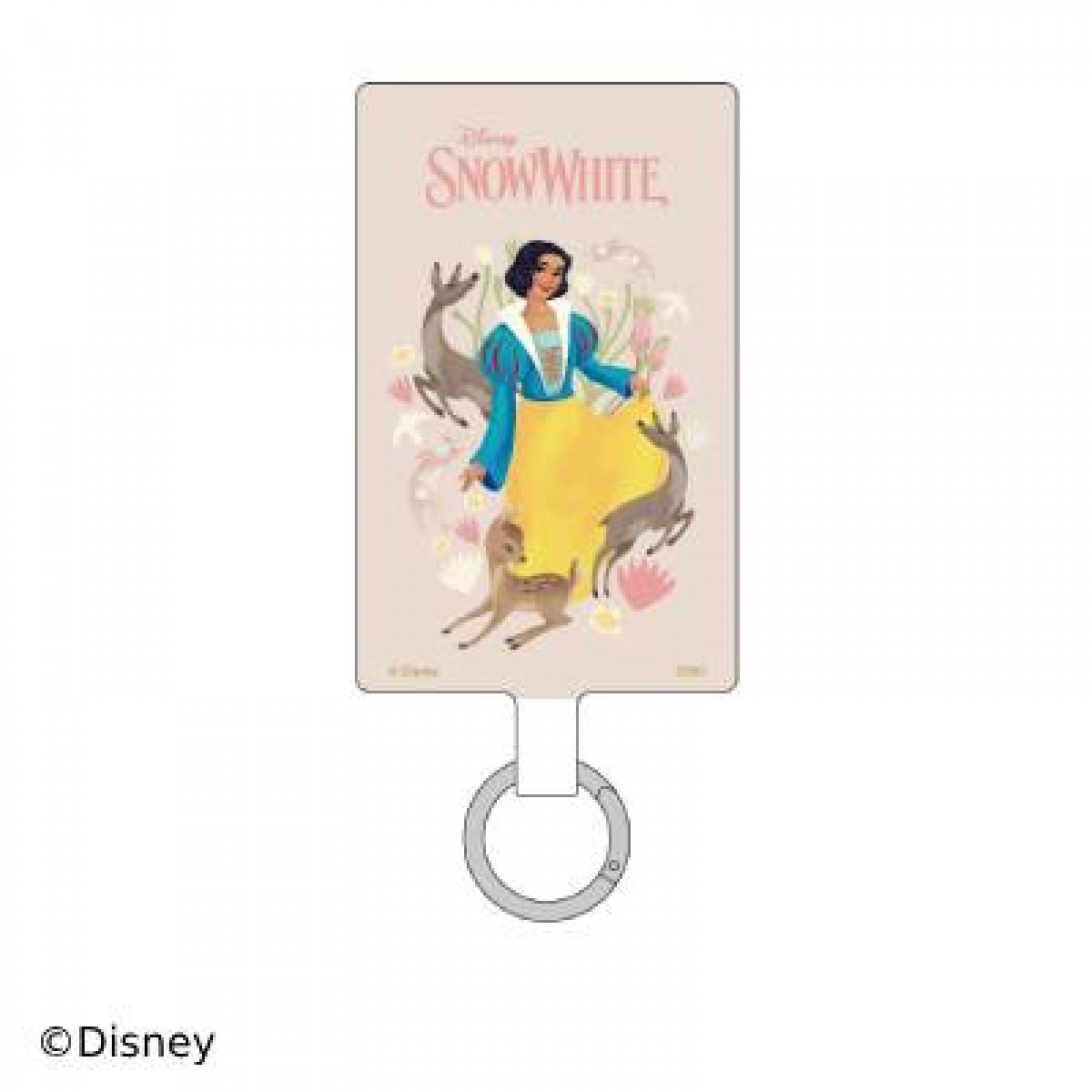 250228_Disney THE MARKET 2025
