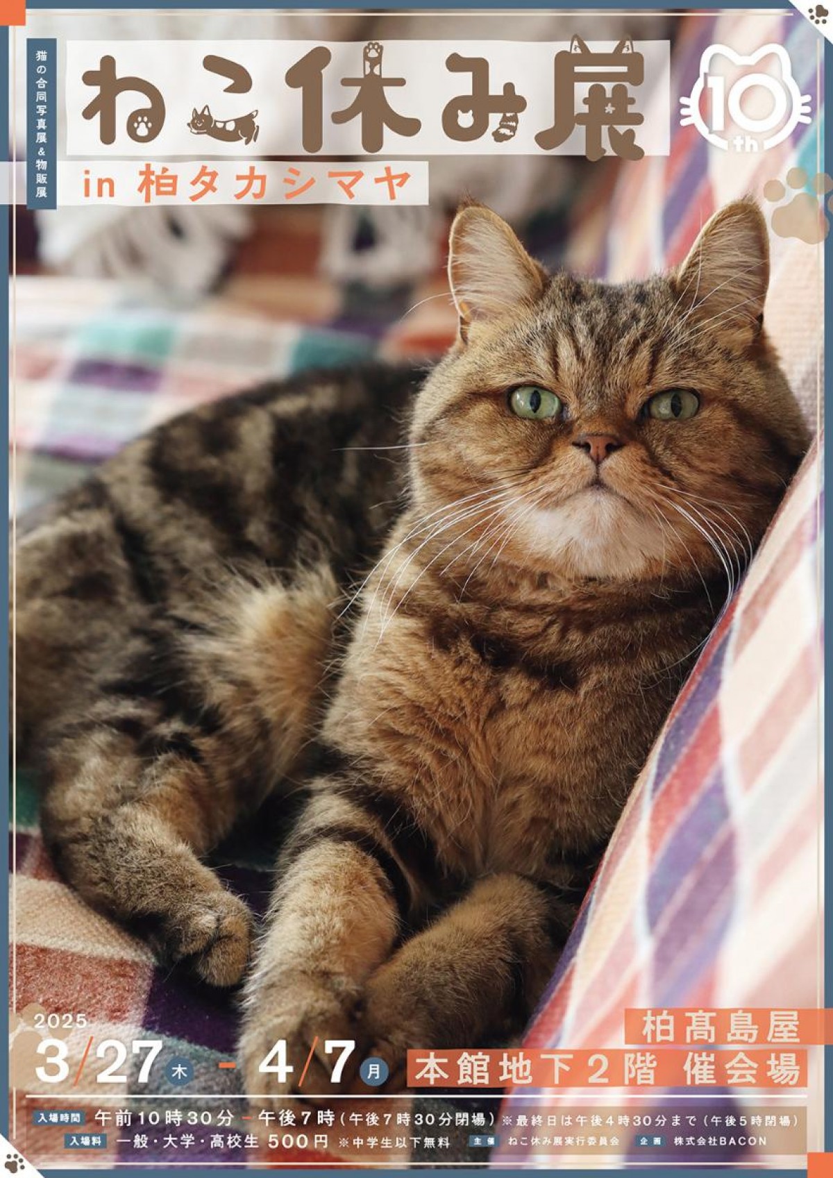 20250228「ねこ休み展 in 柏タカシマヤ」