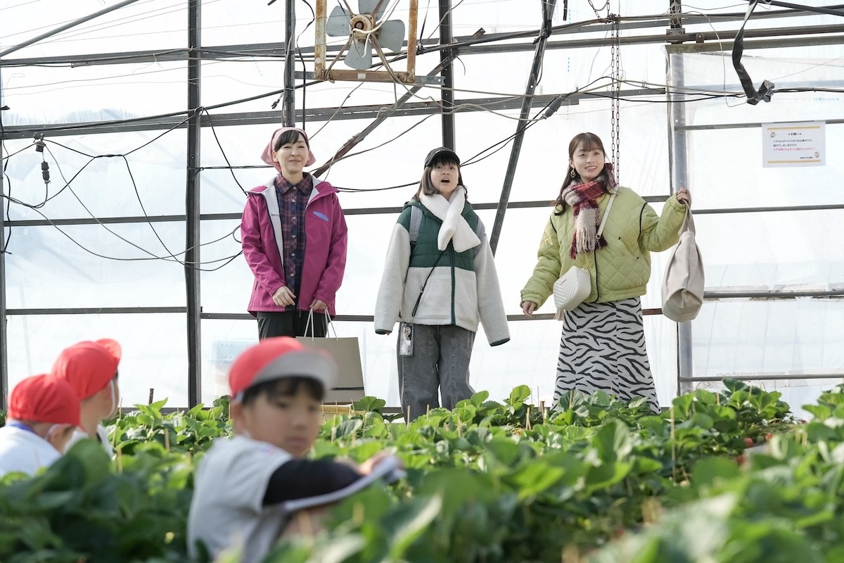 『おむすび』最終回　“結”橋本環奈、糸島へ移住した両親に会いに行く