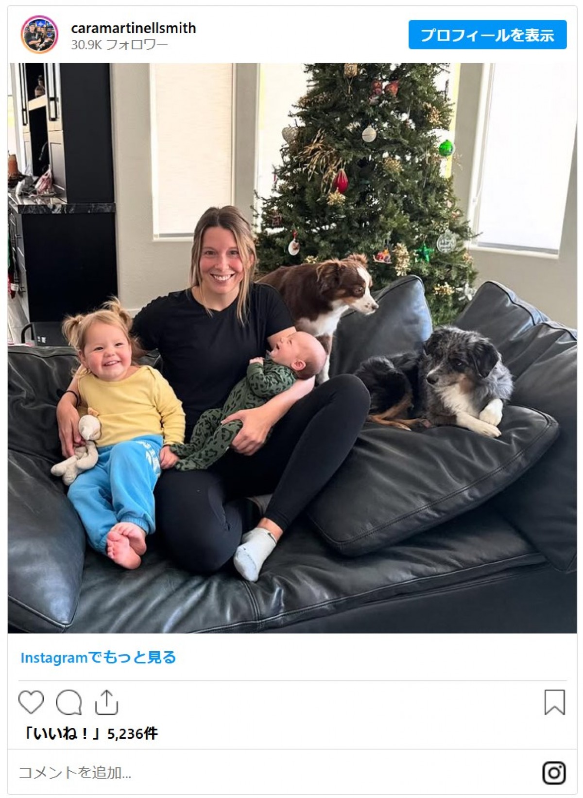 デコピンだけじゃない！　佐々木投手、山本投手も…ドジャース選手たちのキュートな愛犬まとめ