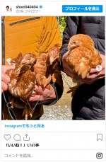 照英が紹介した新しい家族　※「照英」インスタグラム