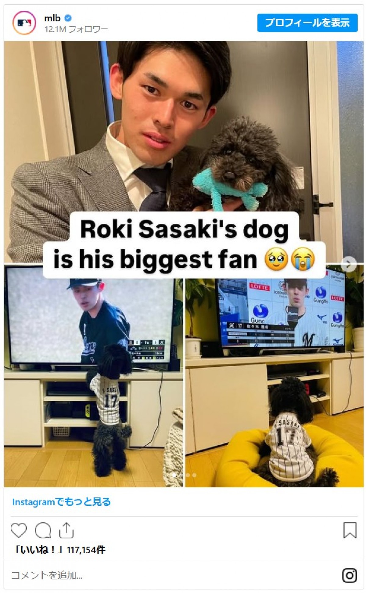 デコピンだけじゃない！　佐々木投手、山本投手も…ドジャース選手たちのキュートな愛犬まとめ