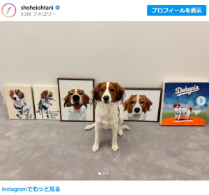 大谷翔平、“デコピン”の誕生日をお祝い 「大谷家の長男おめでとう」「いい日にしてね！」ファンから祝福の声相次ぐ