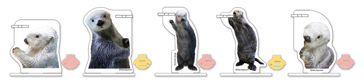 20250509_「カプくじ×鳥羽水族館 ラッコのメイちゃんくじ リターンズ！」