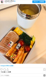 青木裕子、手作り弁当　※「青木裕子」インスタグラム