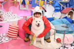 5月17日放送の『サクサクヒムヒム　☆推しの降る夜☆』より