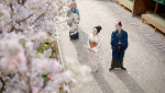 大河ドラマ『べらぼう～蔦重栄華乃夢噺～』第27回「願わくば花の下にて春死なん」より