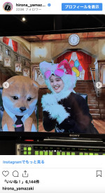 山崎紘菜、可愛すぎる“ネコ姿”　※「山崎紘菜」インスタグラム