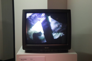 20250718_恐怖心展