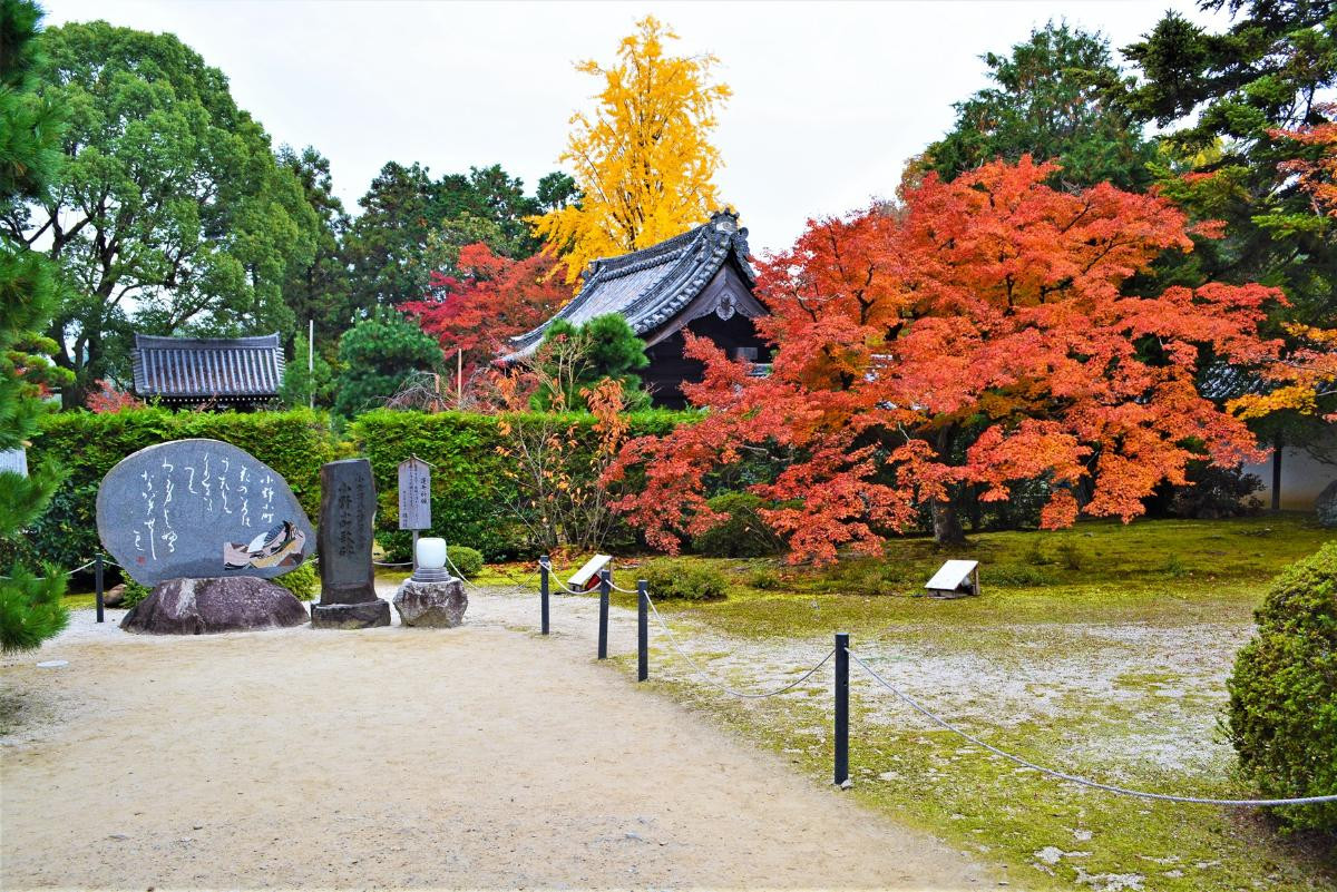 250930「可哀想に！in KYOTO」