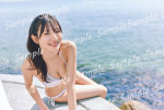 日向坂46・河田陽菜2nd写真集『テイクオフ』書店別特典：折り目なしB3ポスター（星野書店）