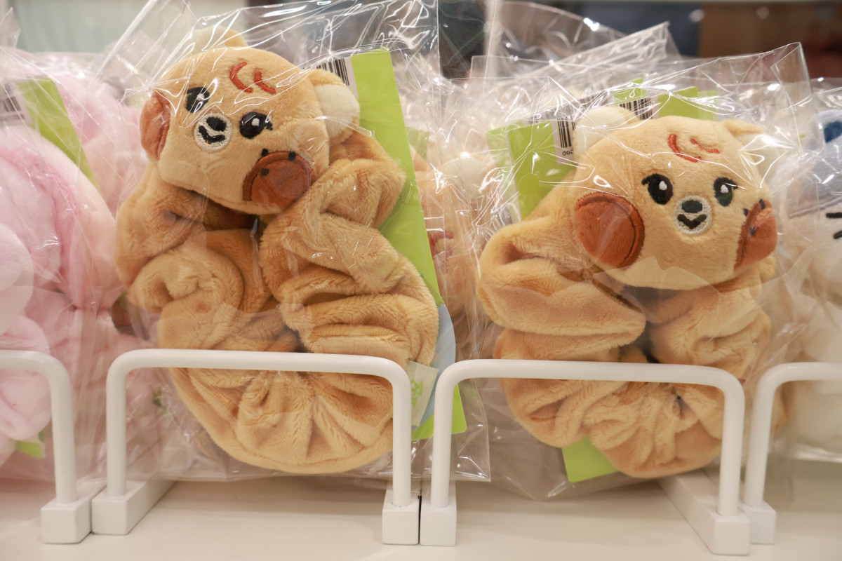 20251024 Dreamiez’s Dream Forest POP‐UP