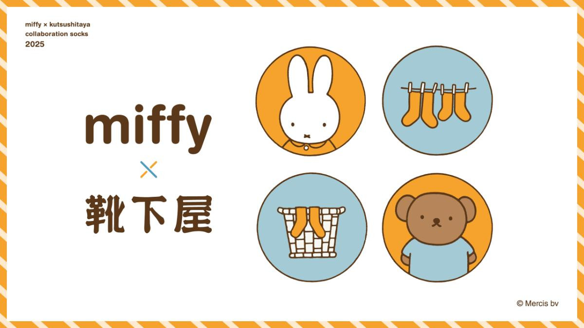251117ミッフィー×「靴下屋」