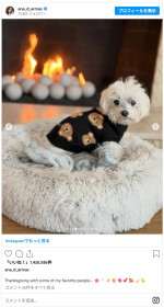 アナ・デ・アルマス、感謝祭を過ごす様子をシェア　※「アナ・デ・アルマス」インスタグラム