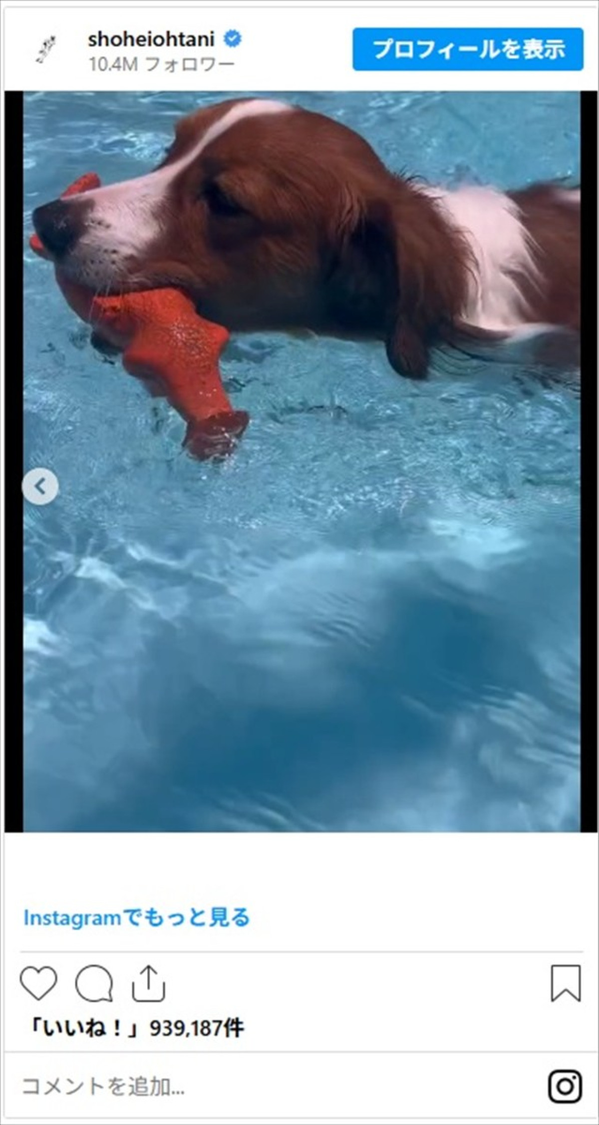 素敵な夫婦2ショやかわいい愛犬デコピンも　大谷翔平インスタに話題騒然「ワクワクが止まりません」「日本でも発売して欲しい」