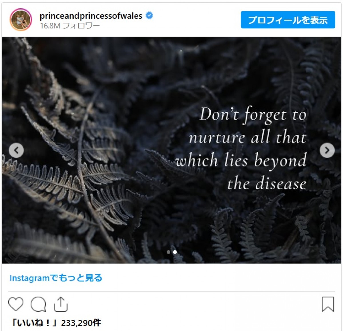 英キャサリン妃、末っ子ルイ王子が撮影した自身の姿を披露　世界対がんデーにメッセージ