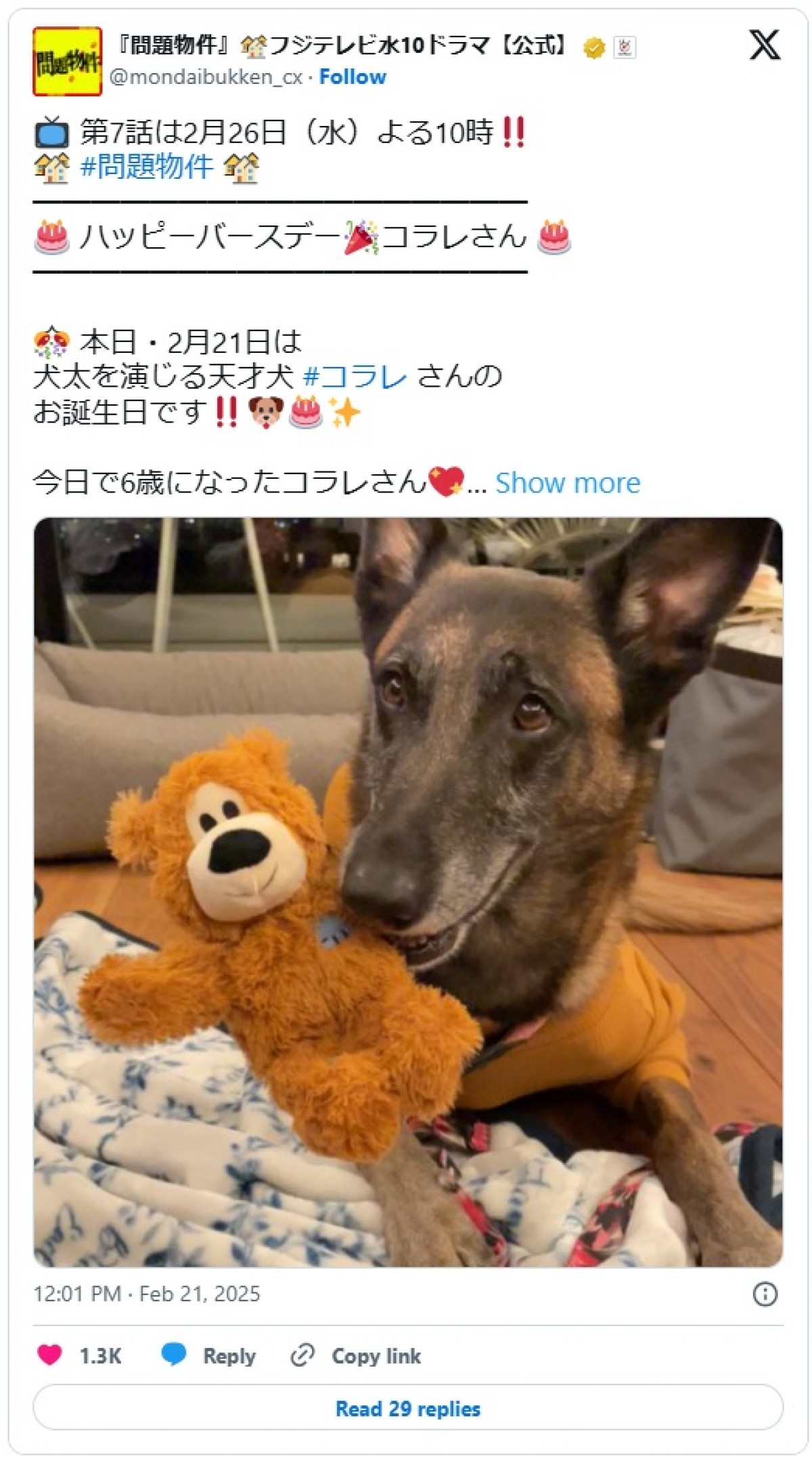 『問題物件』犬太を演じるコラレちゃんが「お利口」と話題！　撮影秘話＆癒しオフショットまとめ