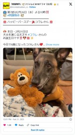 犬太を演じるコラレ　※ドラマ『問題物件』公式エックス