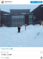 見てるだけで寒気が…。雪原にたたずむあばれる君　※「あばれる君」インスタグラム
