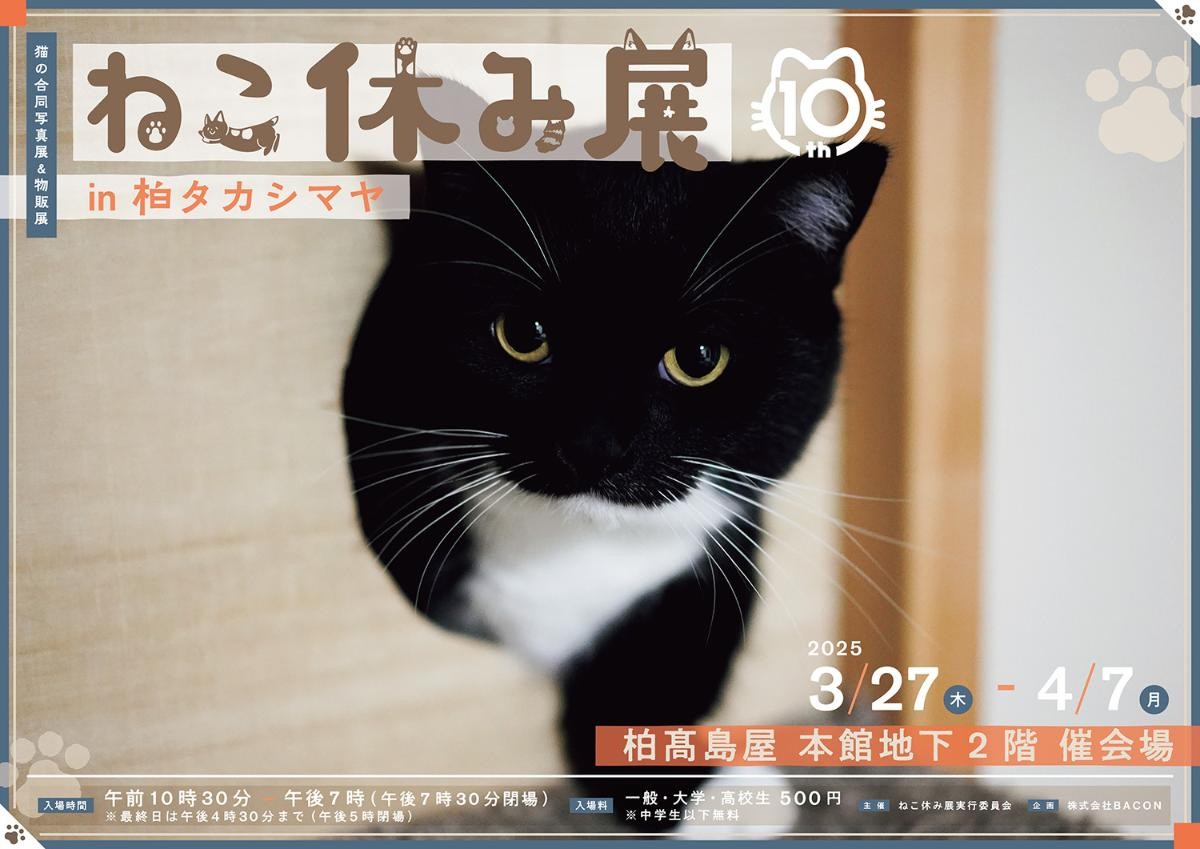 20250228「ねこ休み展 in 柏タカシマヤ」