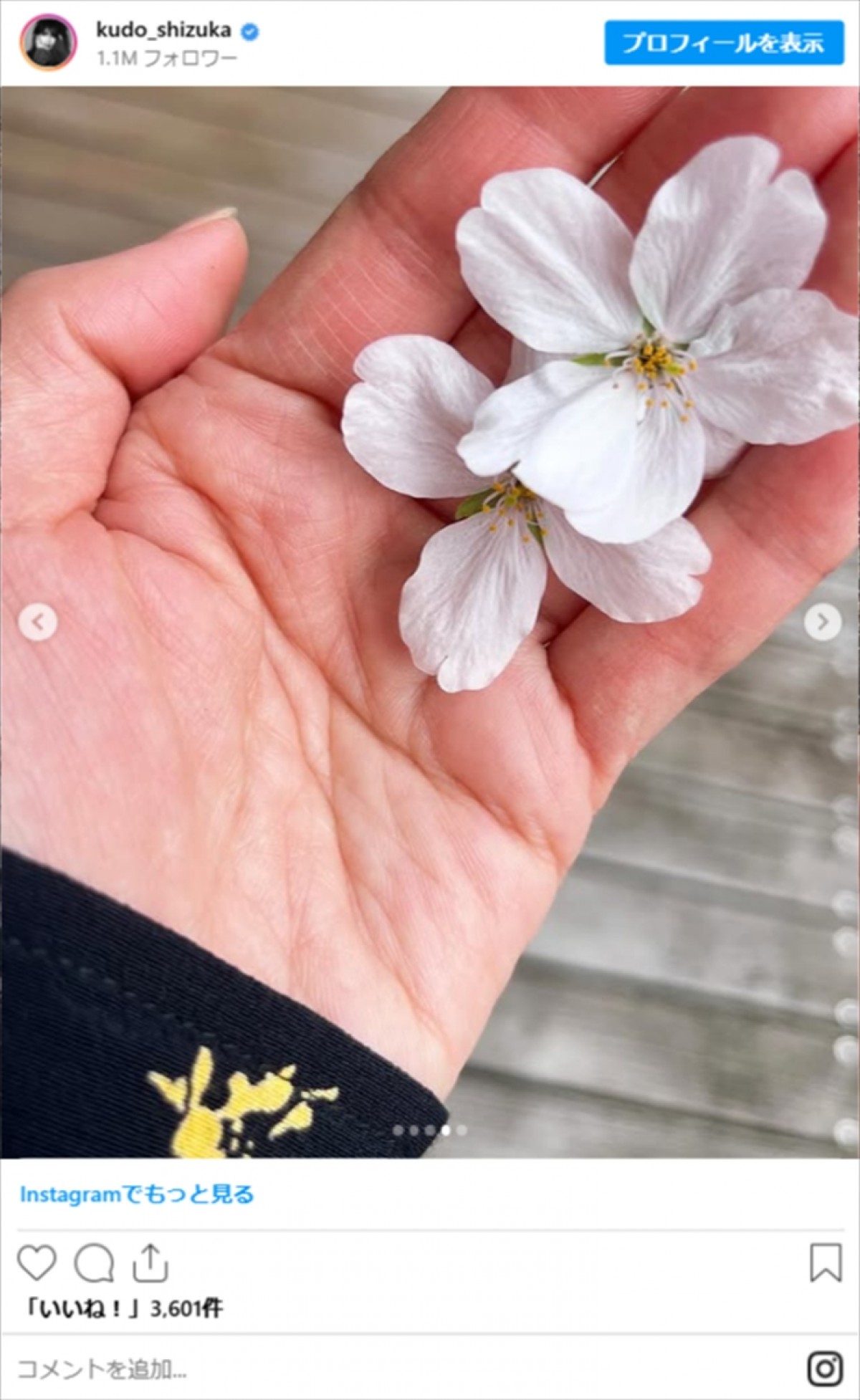 工藤静香、庭のソメイヨシノが満開　自身の近影とともに公開「お花もしーちゃんも美しすぎる」