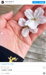 工藤静香、満開のソメイヨシノに歓喜　※「工藤静香」インスタグラム