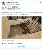 最終回放送前の投稿　※「上川隆也 STAFF」公式エックス
