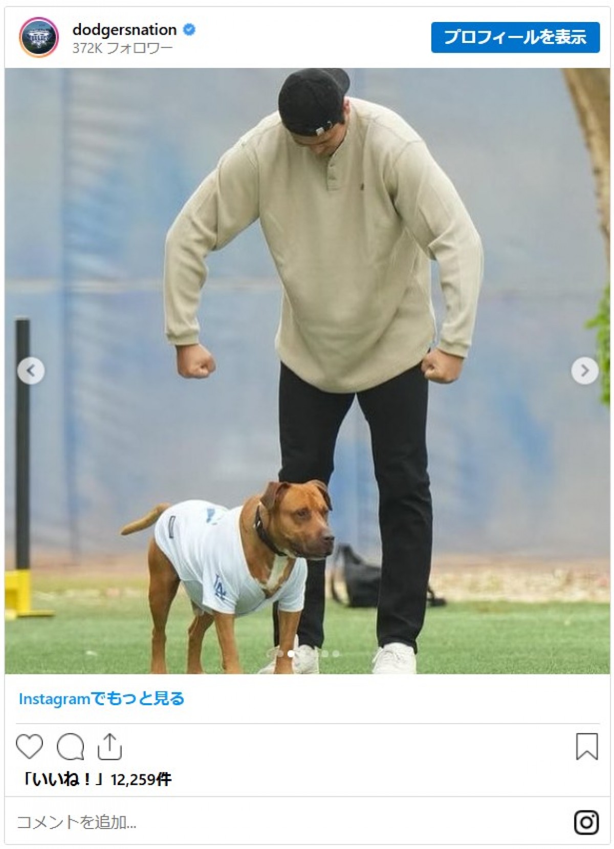 デコピンだけじゃない！　佐々木投手、山本投手も…ドジャース選手たちのキュートな愛犬まとめ