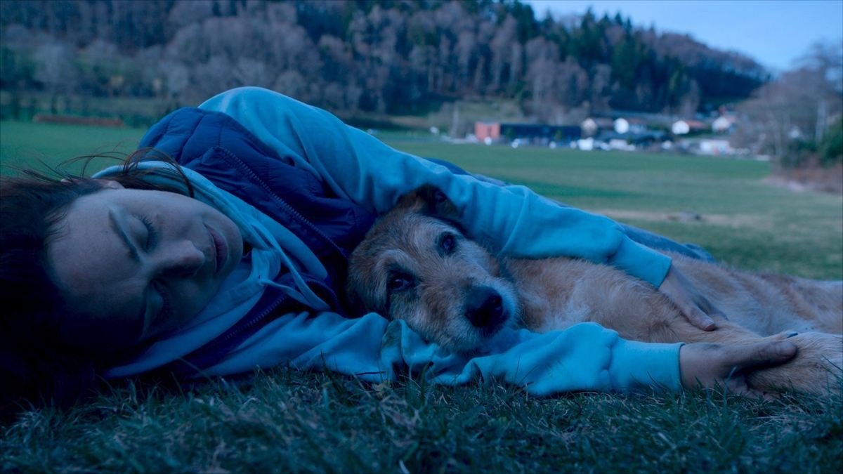 被告人ならぬ被告犬の彼は“無罪”か“有罪”か？　カンヌ映画祭”パルム・ドッグ賞”受賞『犬の裁判』予告＆場面写真解禁