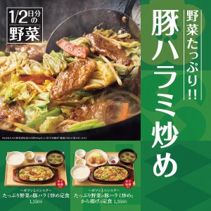 250401_“たっぷり野菜の豚ハラミ炒め定食