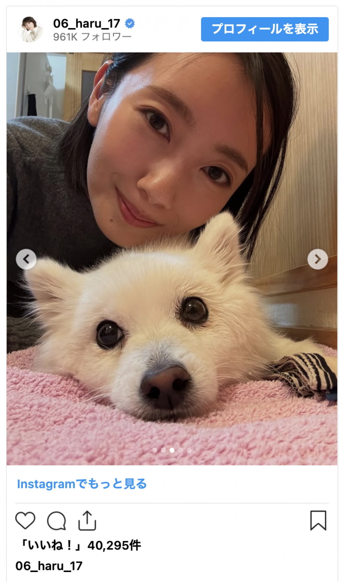 波瑠、大切な“家族”との別れを明かす「愛しい足音が聞こえてこなくなってもう一年」