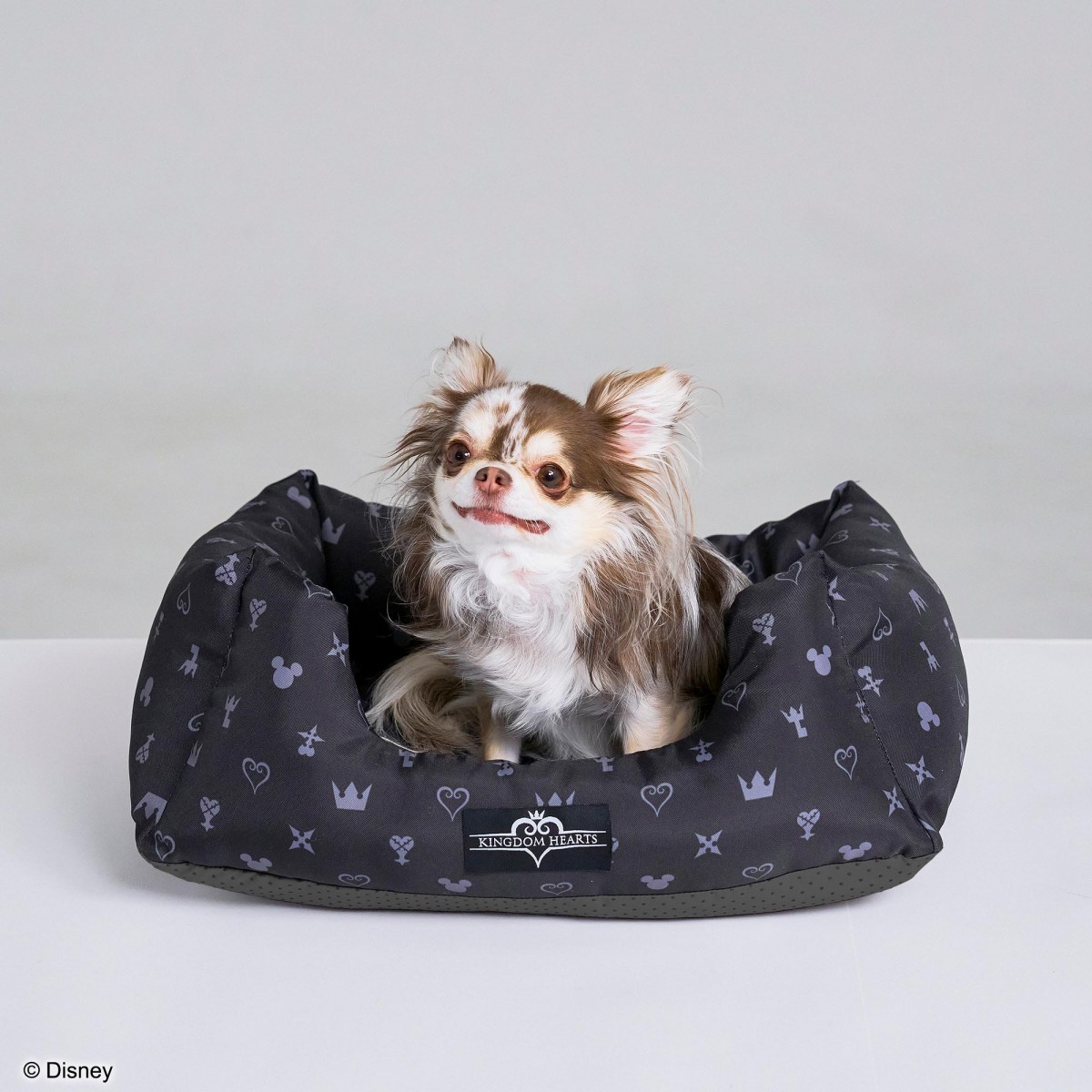 『KINGDOM HEARTS PETs』ペットグッズ＿20250403